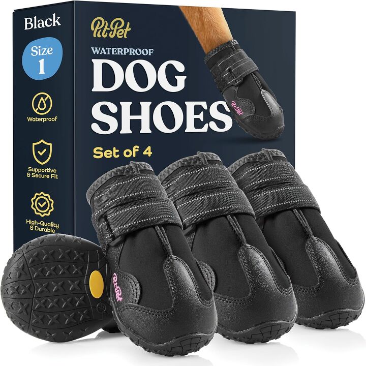 does my dog need winter boots