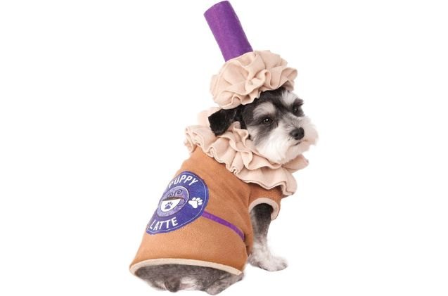 best cute dog halloween costumes