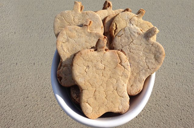 gluten free apple cinnamon dog treat recipe