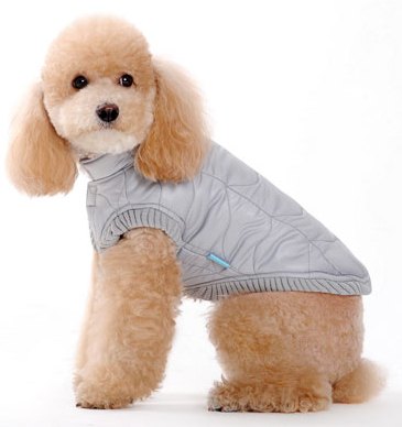 turn up the heat with winter coats for dogs