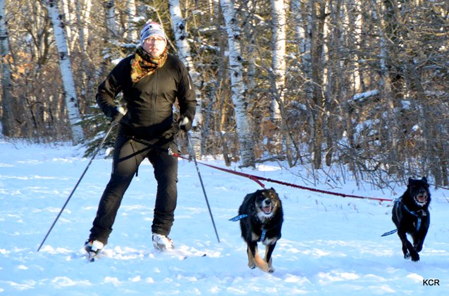 winter training tips getting started in skijoring