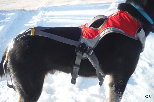 product review ruffwear omnijore joring system