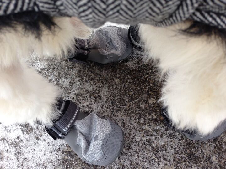 product review ruffwear summit trex dog boots