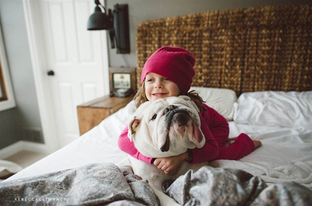 a bulldog is the best sister a little girl can have