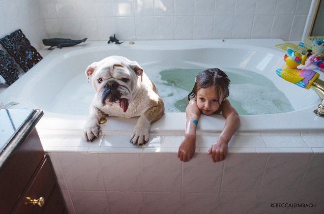 a bulldog is the best sister a little girl can have