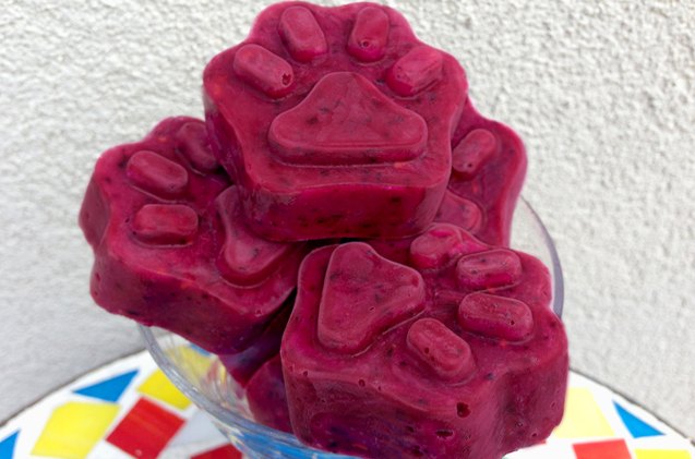 frozen mixed summer berry dog treat recipe