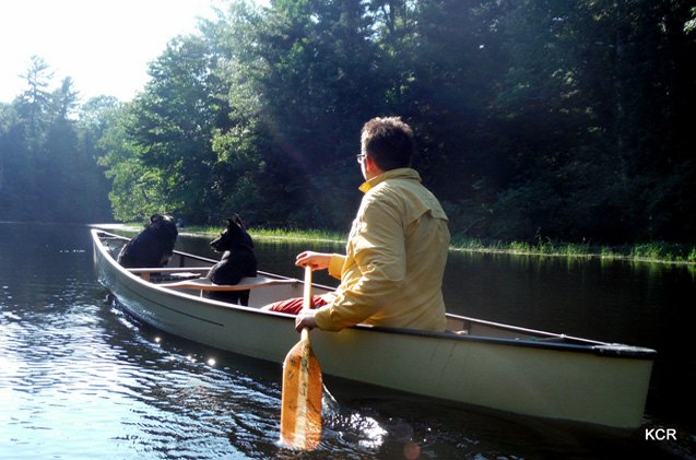 5 pet portaging tips for canoeing with your dog