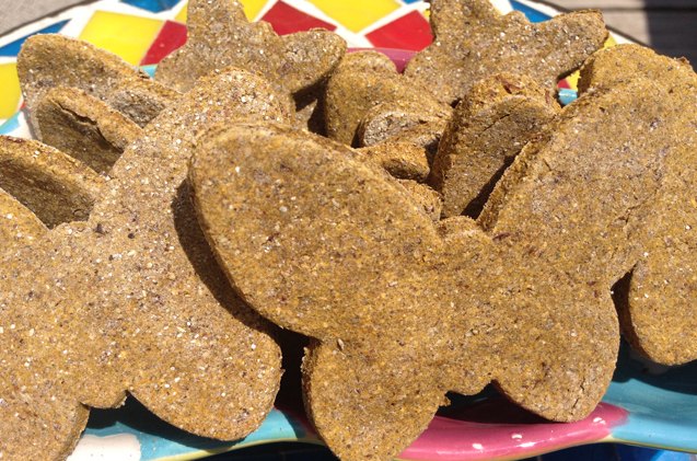 grain free pumpkin dog treats