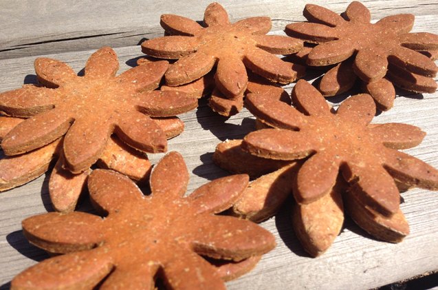 chickpea grain free dog treat recipe