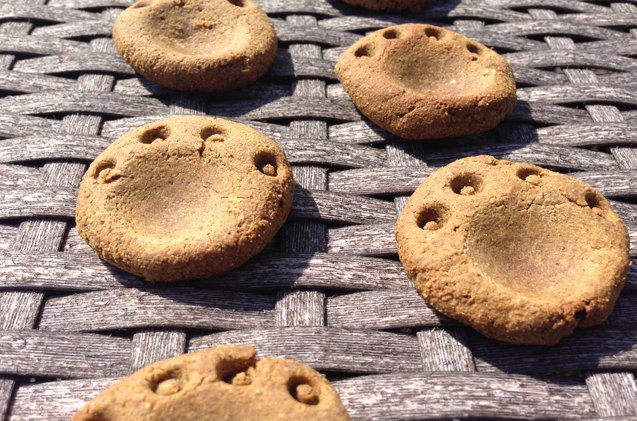 quinoa grain free dog treat recipes