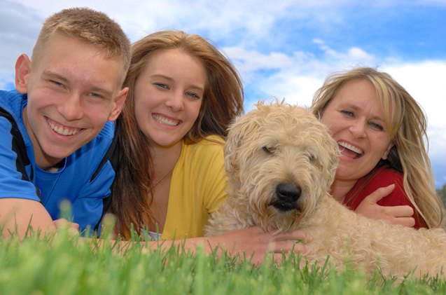 all about self insurance for dogs