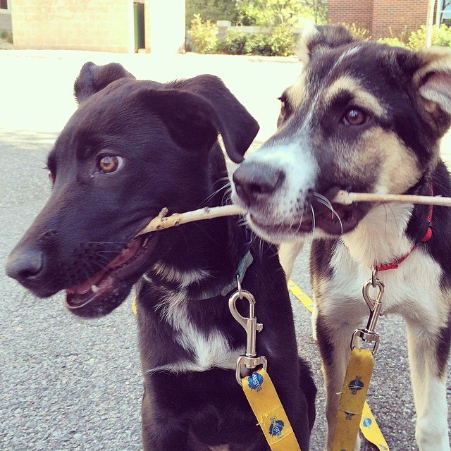 hooray for happy endings meet skier gus kenworthys sochi street pu