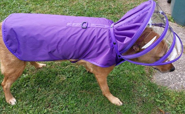 product review push pushi raincoats