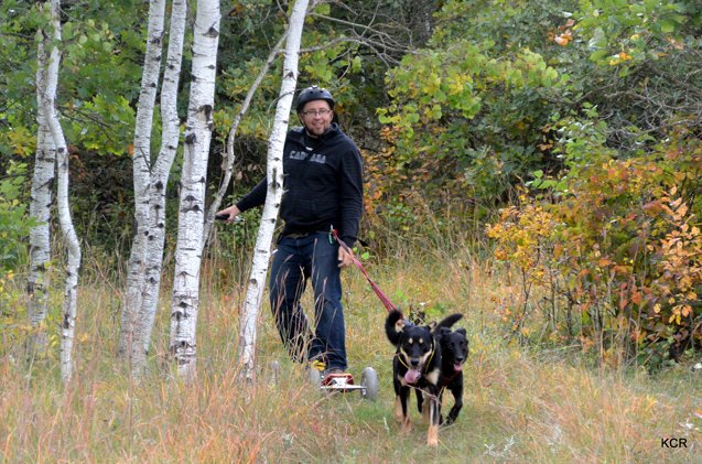 mountain boarding with dogs off roading adventures powered by pooches