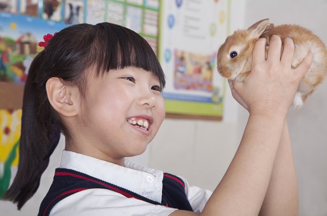 show and tell pets in the classroom get an a