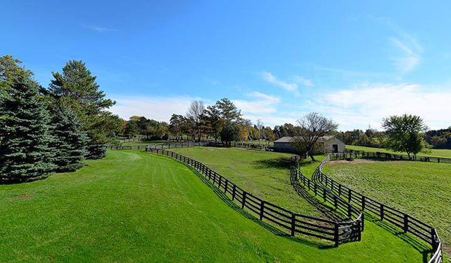 dog tales sanctuary is like heaven on earth for dogs and people