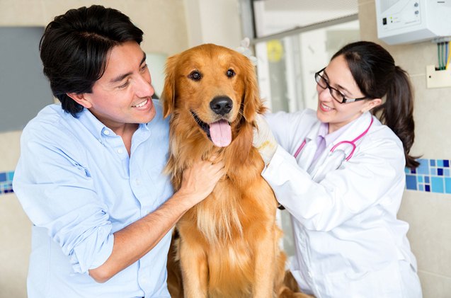 new canine cancer research findings could benefit people too