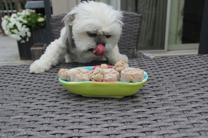 totally tongue out photo contest