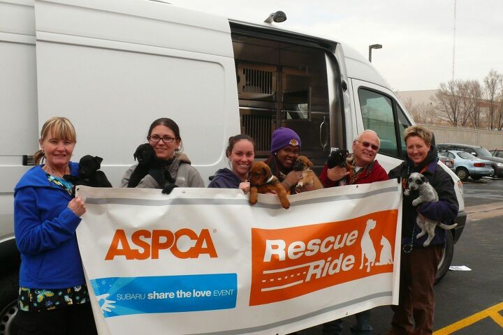 aspca and subaru want to share the love this holiday season