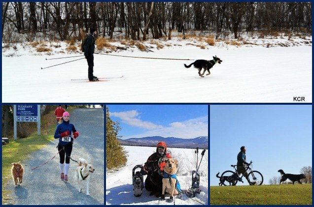 get fit with fido exhilarating workouts for you and your dog