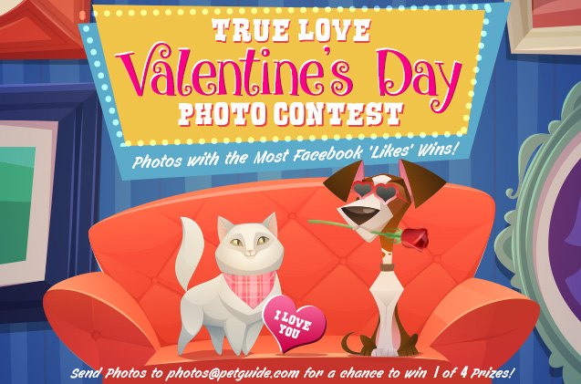 true love valentines day photo contest