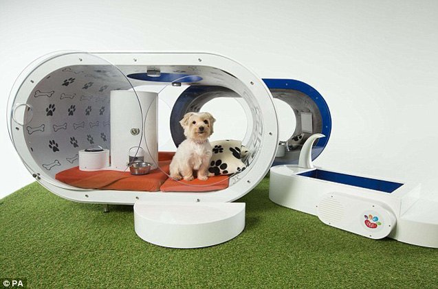 yes this 30k samsung dream doghouse is necessary video