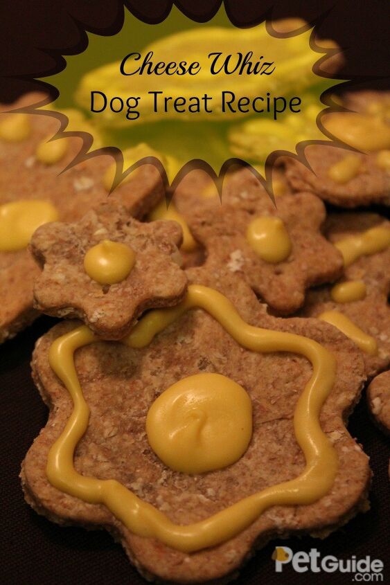 cheese whiz dog treat recipe