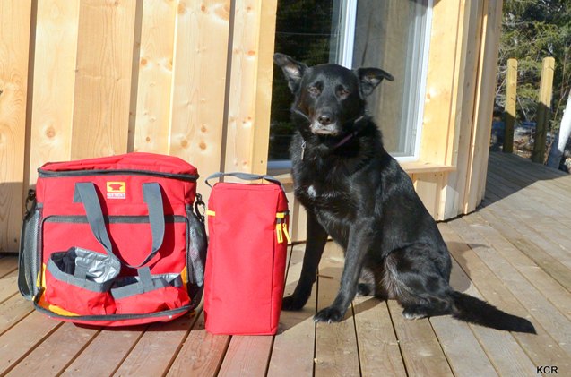 product review mountainsmith k 9 cube