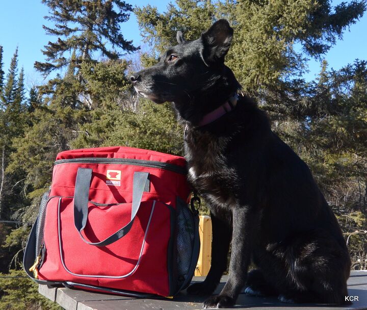 product review mountainsmith k 9 cube