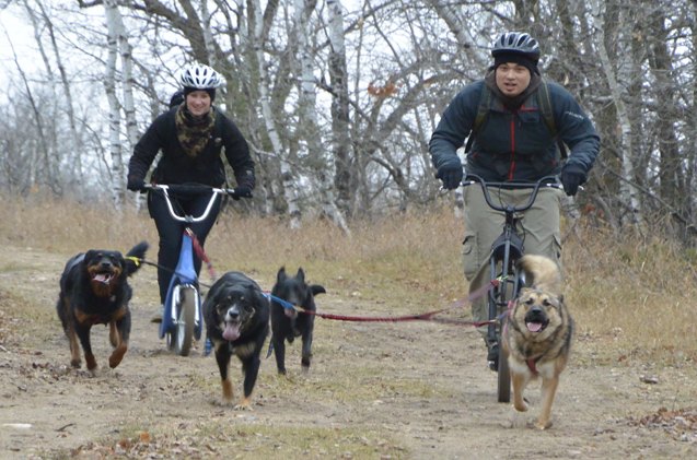 wheely good time bikejoring and scootering part 1