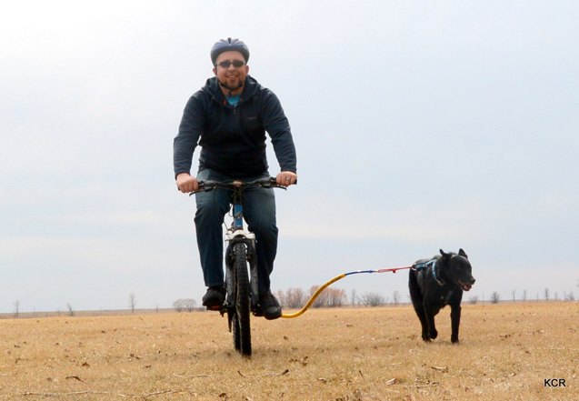 product review bike tow leash