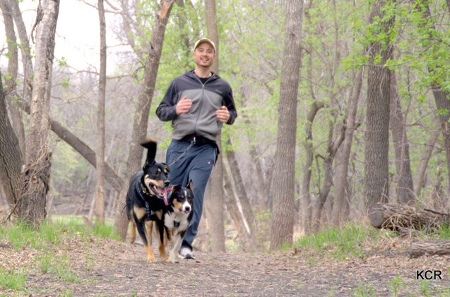 dog powered running get fit with canicross