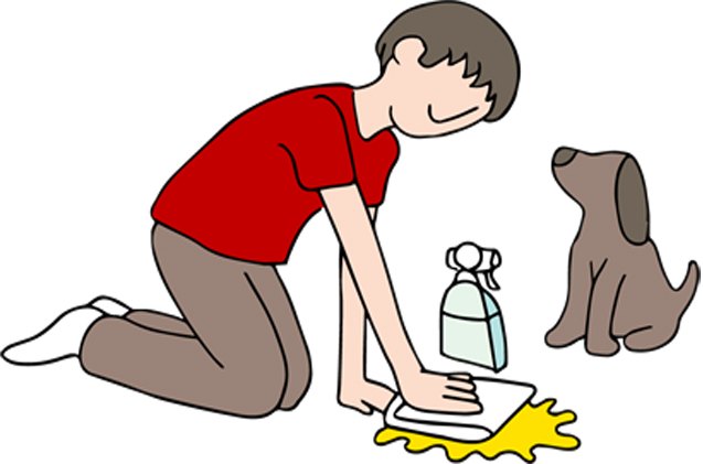 diy cleaning solutions for stinky pet stains