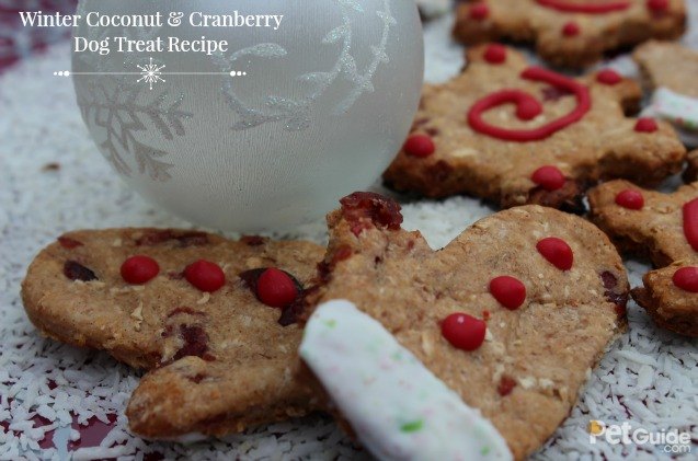 winter coconut and cranberry dog treat recipe