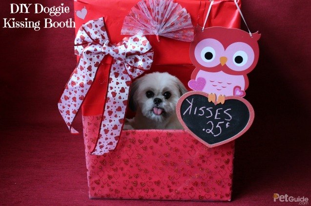 diy doggy kissing booth