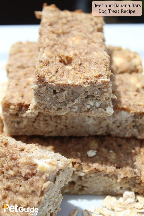 beef and banana bars dog treat recipe