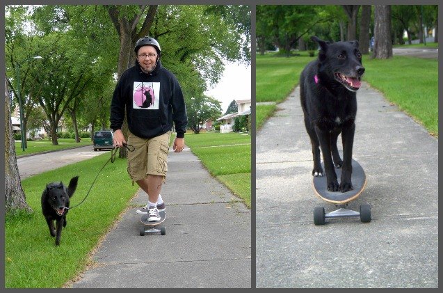 get stoked to go skateboarding with your dog