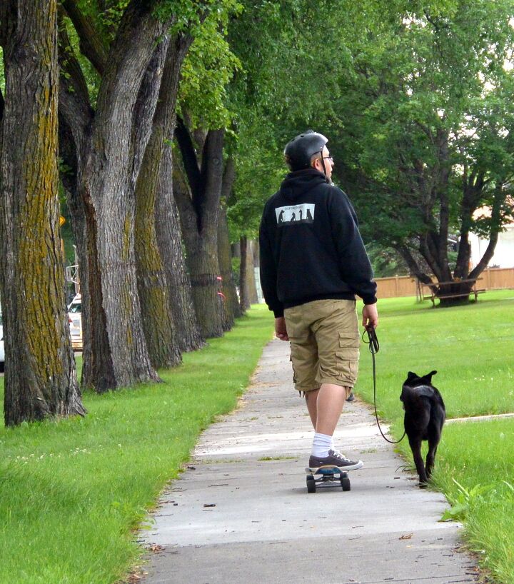 get stoked to go skateboarding with your dog