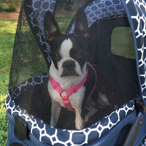 product review gen7pets monaco stroller