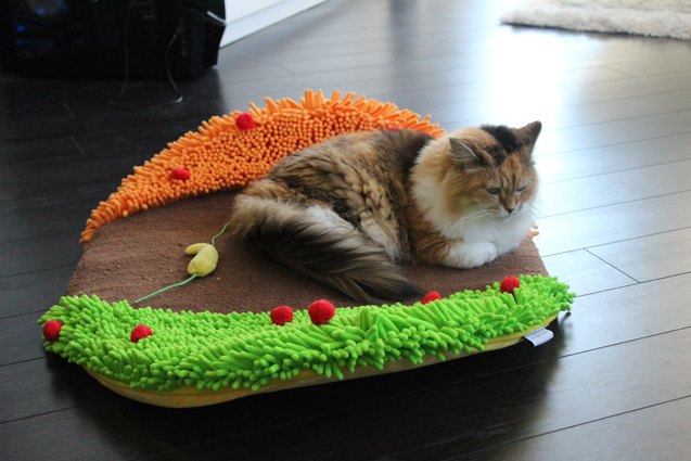 product review taco meoow cat bed