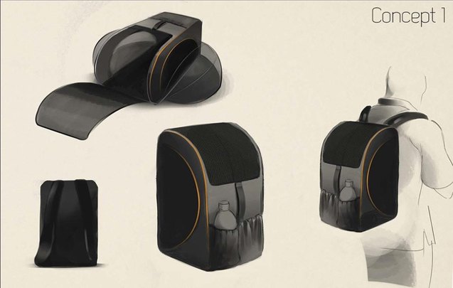 help kickstarter pet backpack get off the ground