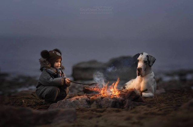 new book featuring little kids and their big dogs cutest thing ever