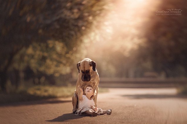 new book featuring little kids and their big dogs cutest thing ever