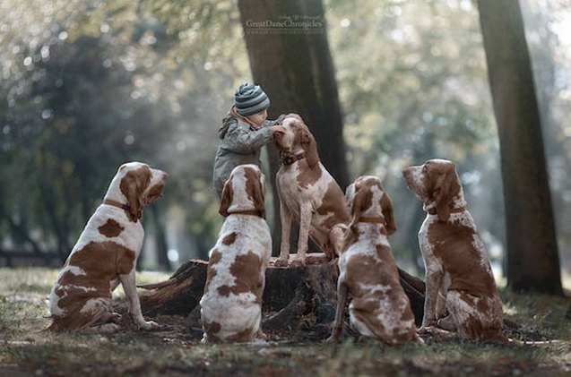 new book featuring little kids and their big dogs cutest thing ever