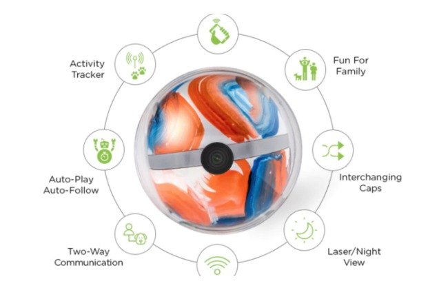 your dog will have a ball with the pebby wifi toy