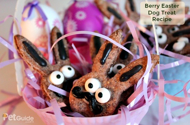 berry easter dog treat recipe