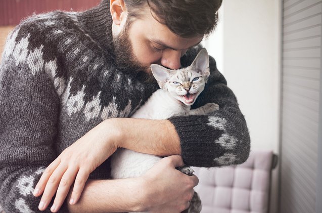 top 10 cats who need a hug