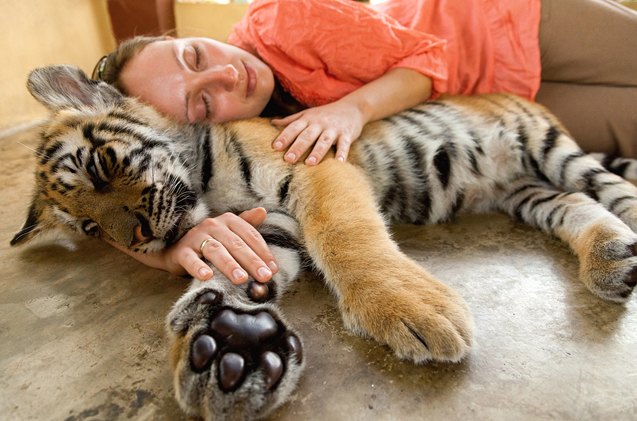 top 10 cats who need a hug