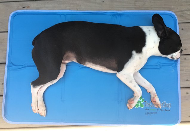 product review the green pet shop cool pet pad