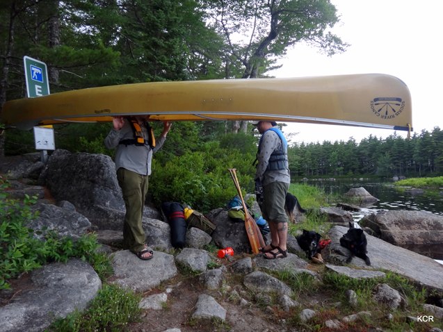 what i did this summer canine canoe adventure in nova scotia part 1